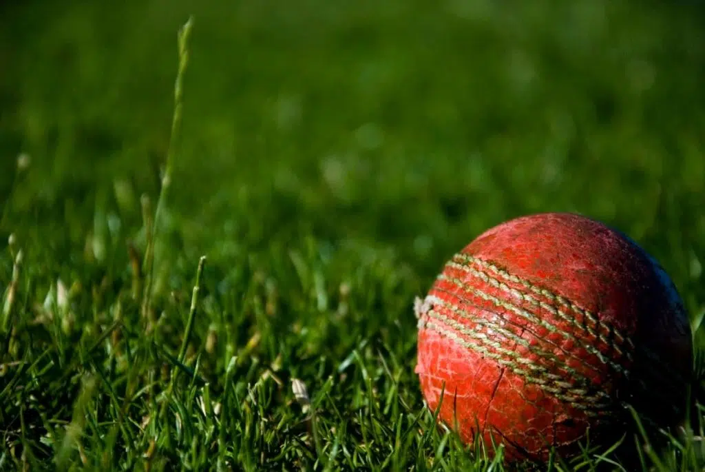 Red cricket ball on grass background